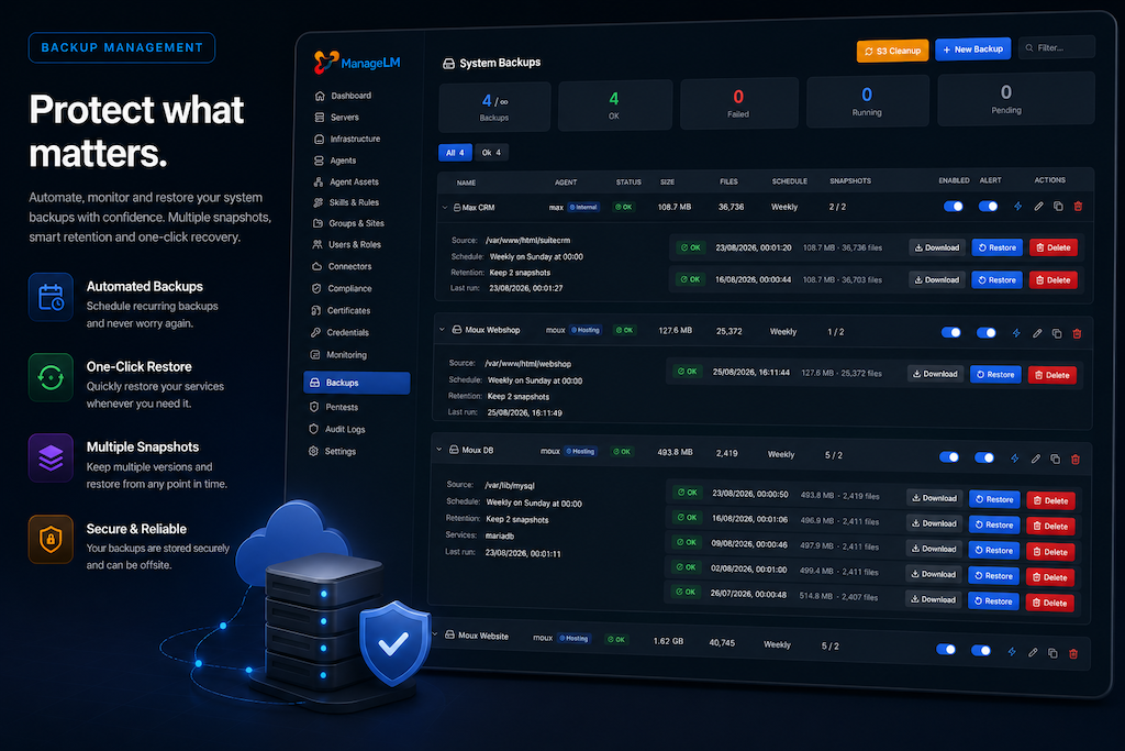 ManageLM system backups viewer